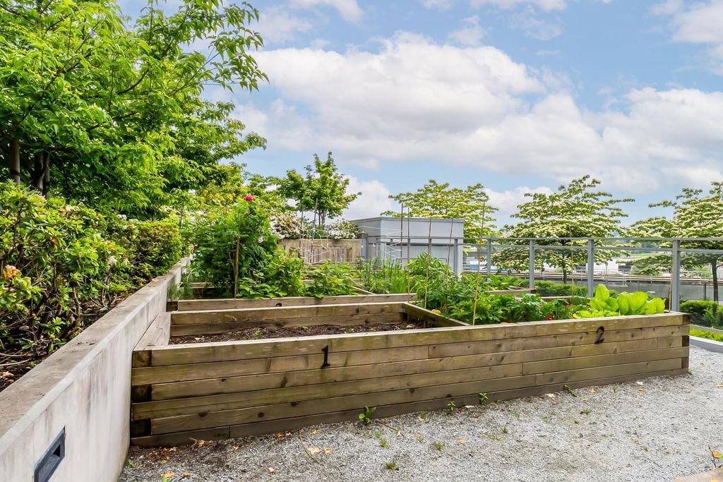 258 Nelson's Ct, #312