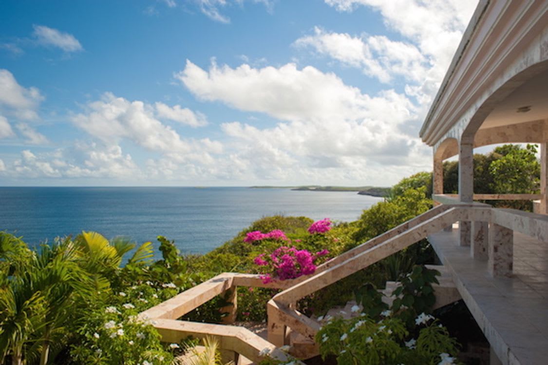 Desert Rose  - In Receivership