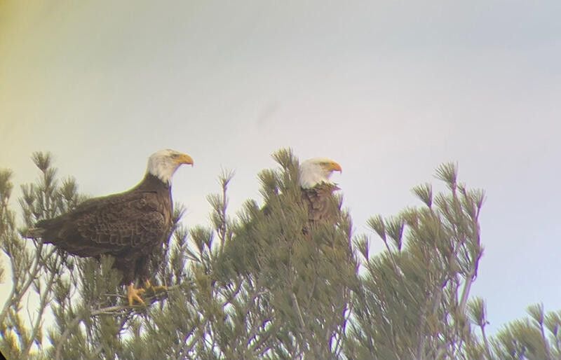 2226 Lake Shore Road