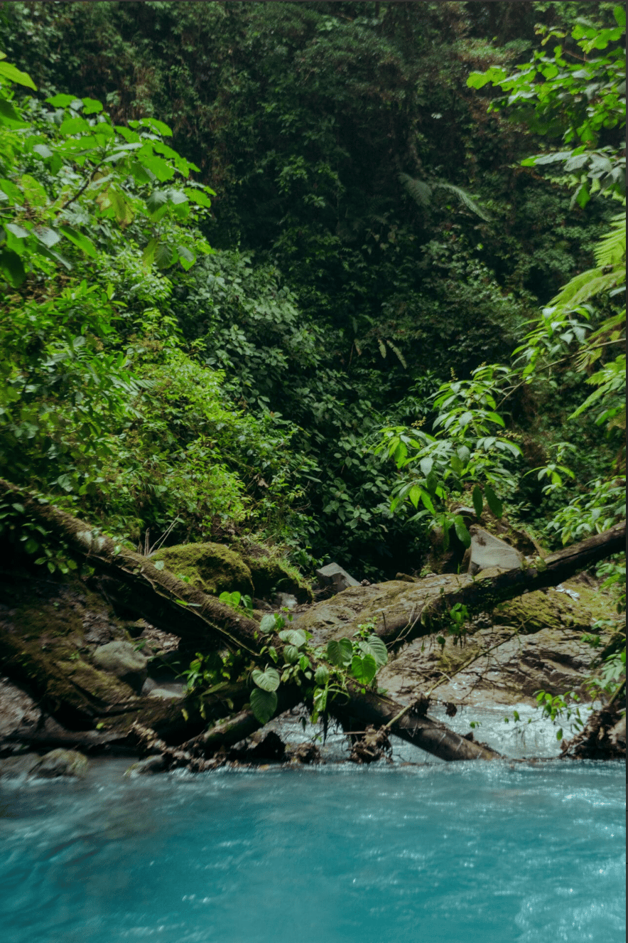 Finca Rincon De La Vieja, 61 Acre Costa Rican Paradise