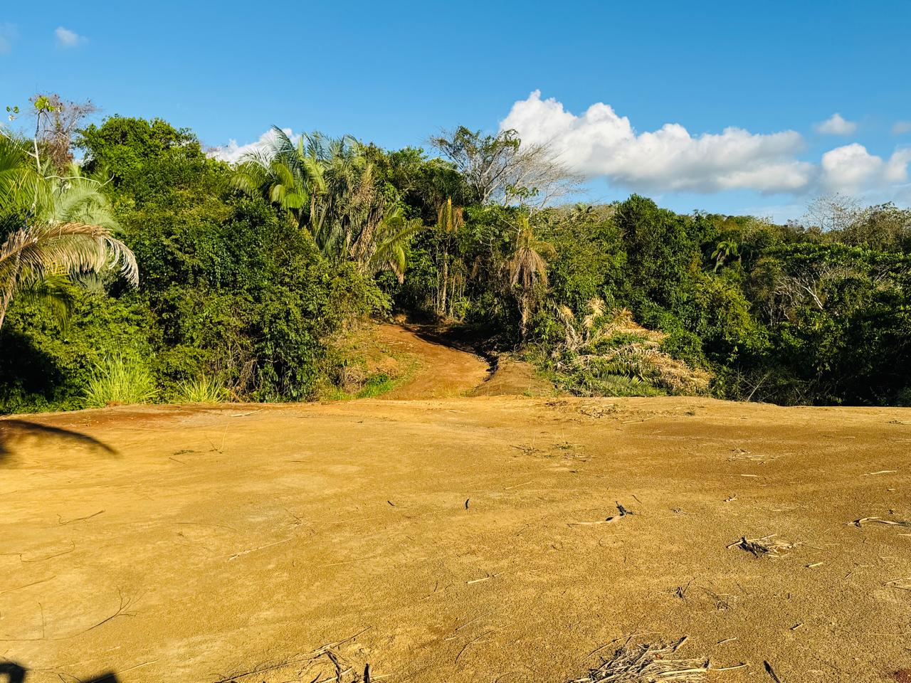 Finca Herradura | 82-Hectare Ocean View Development Land Near Los Sueños, Jacó