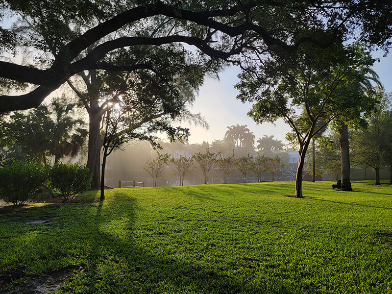 Victoria Park