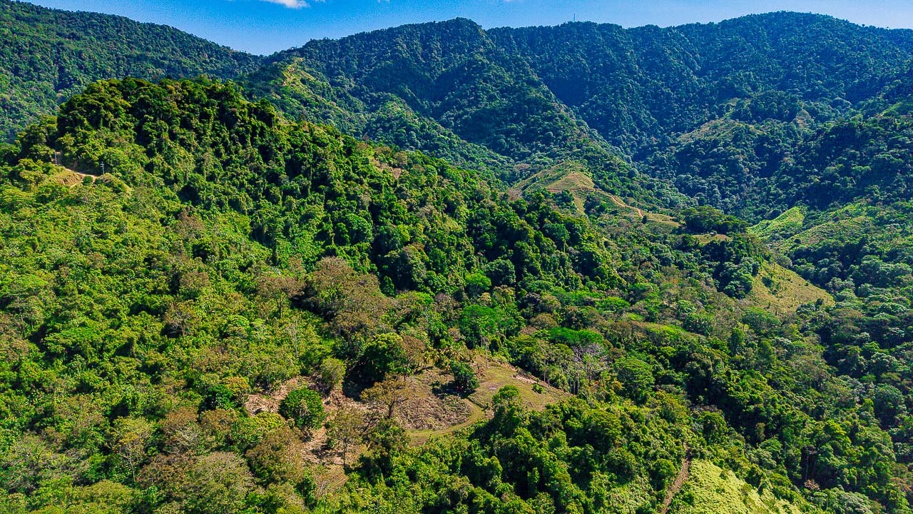 Whale Tail Views Luxury Waterfall Farm