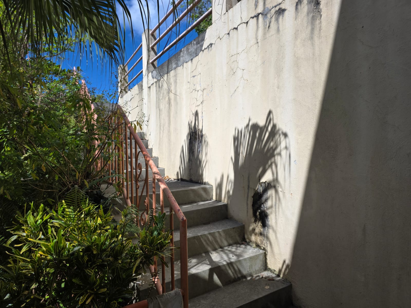 1117 Luck Hill Fixer Upper