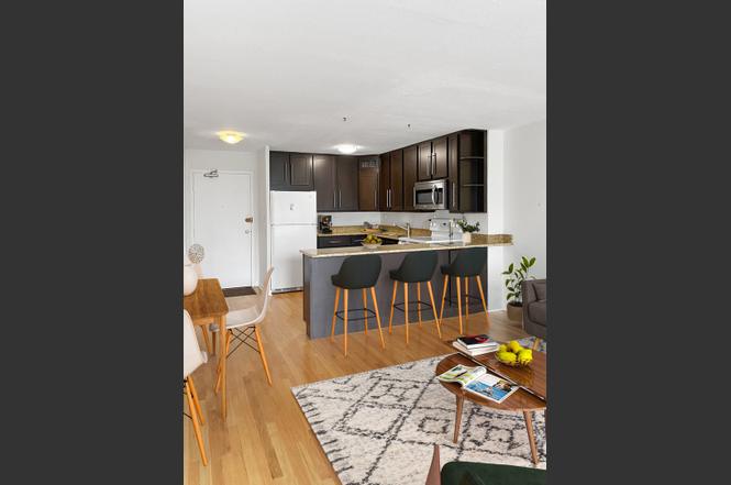 3100 N Lake Shore Dr #1204