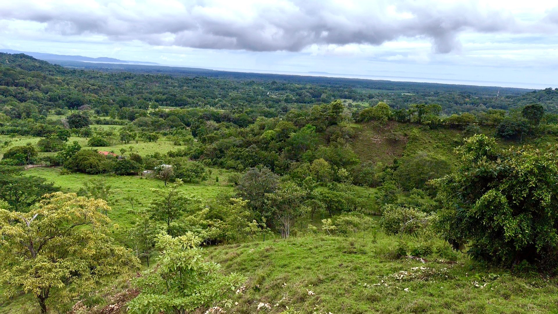 Ocean View Sanctuary in San Buenas – 4.94 Acres of Pastures & Easy Accessaccess