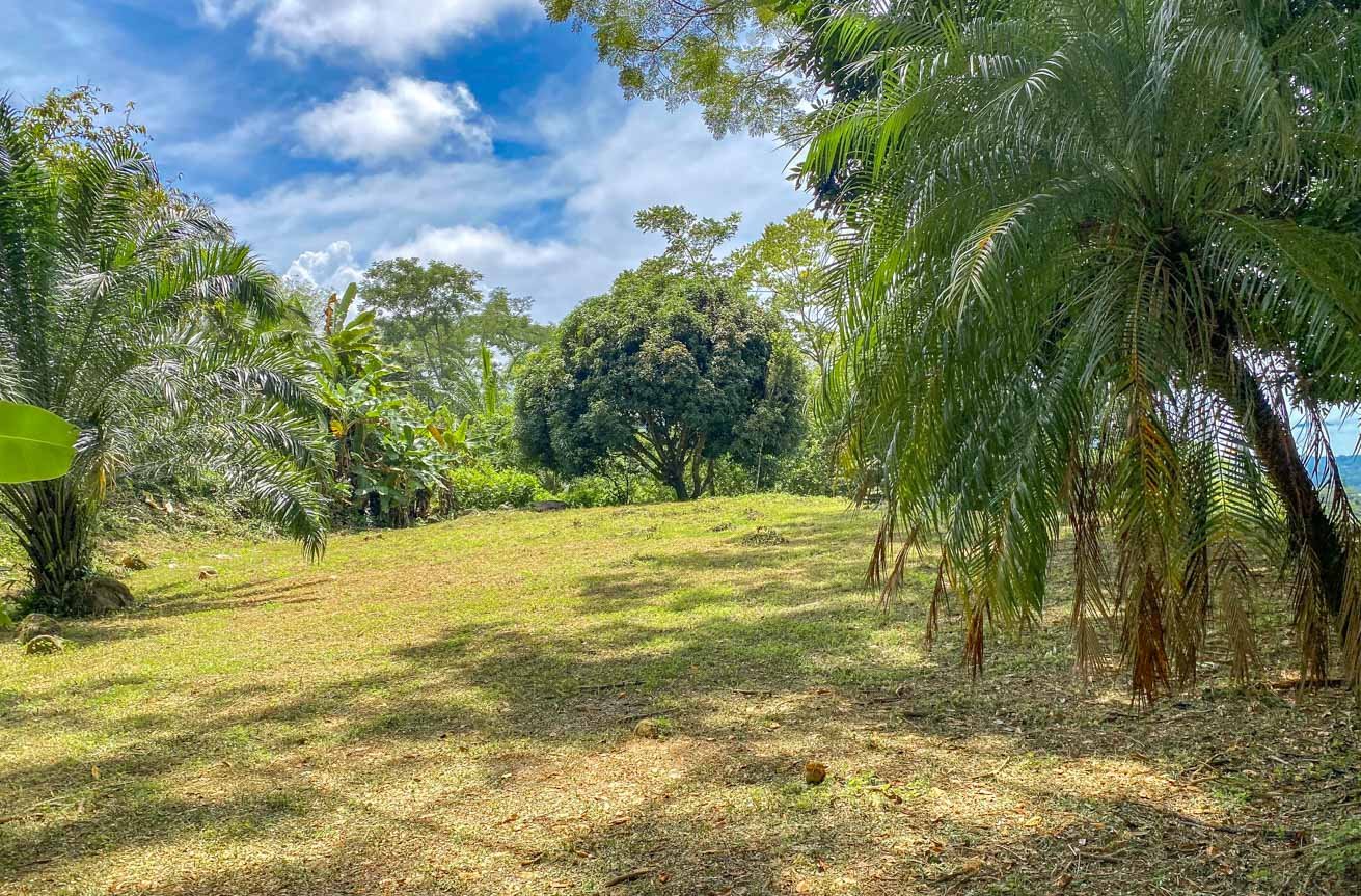 Large Uvita Lot With Whale’s Tail Ocean Views, Sunsets & Legal Water – Ready to Build!