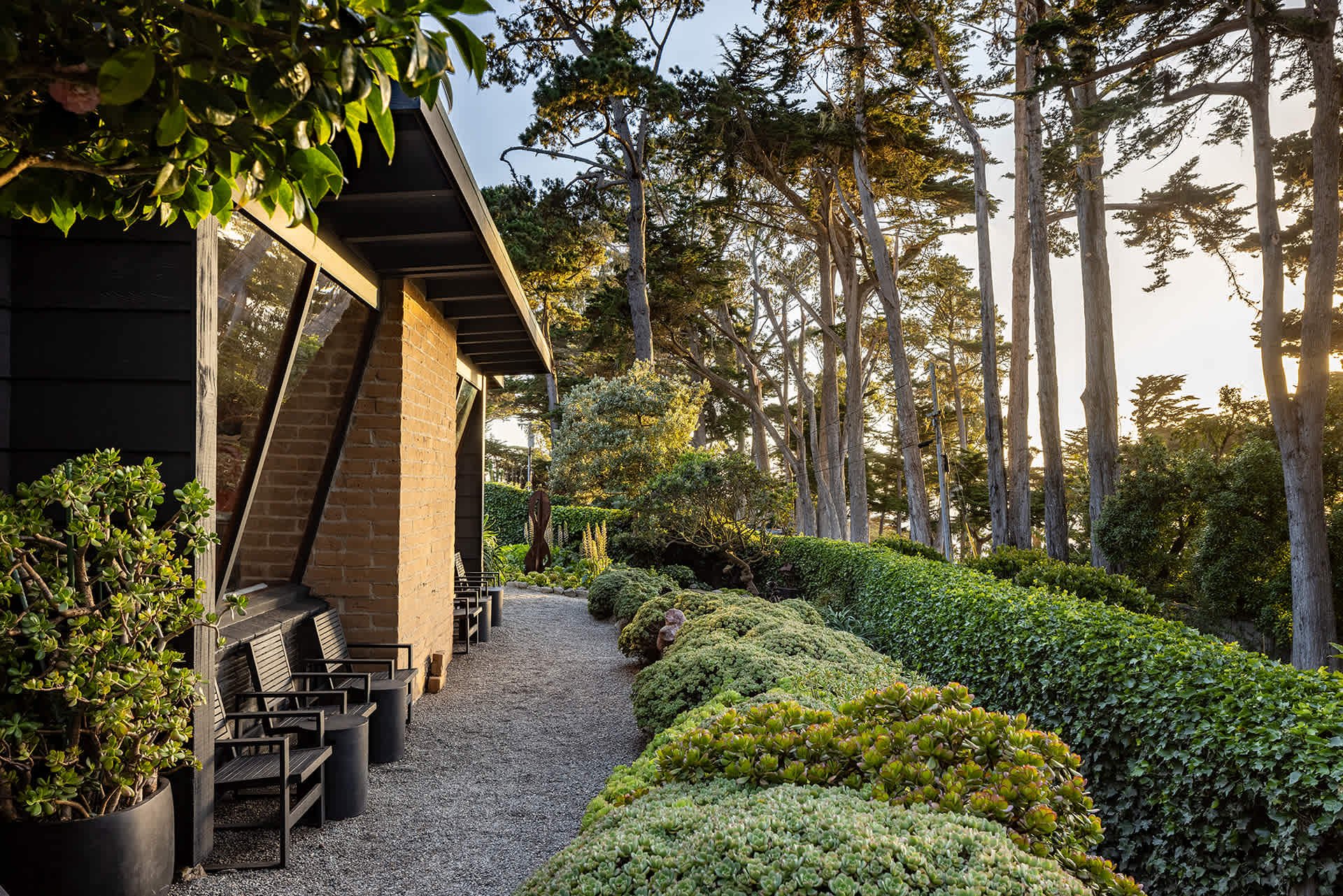 Ocean View Mid-Century Modern