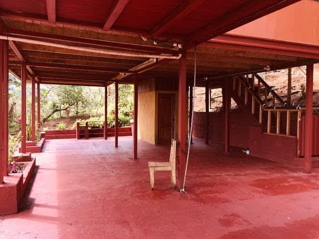 Buena Vista Land | Nature, Comfort, and Opportunity in One