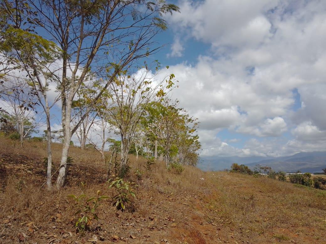 Mountain Fruit Farm Lagoon, Perez Zeledon, San Jose