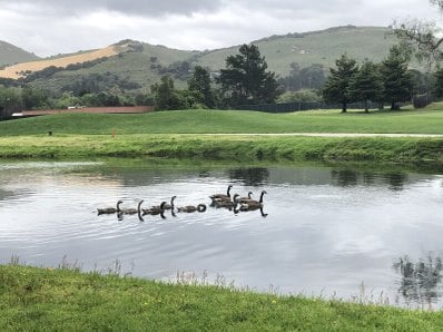 Carmel CA 93923