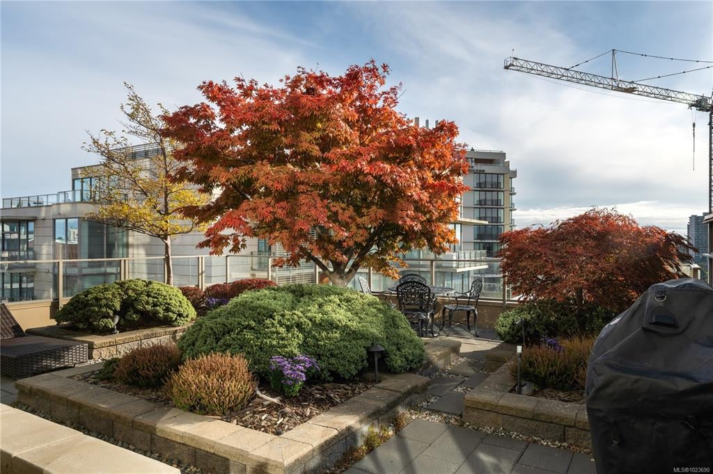 1406 - 707 Courtney St