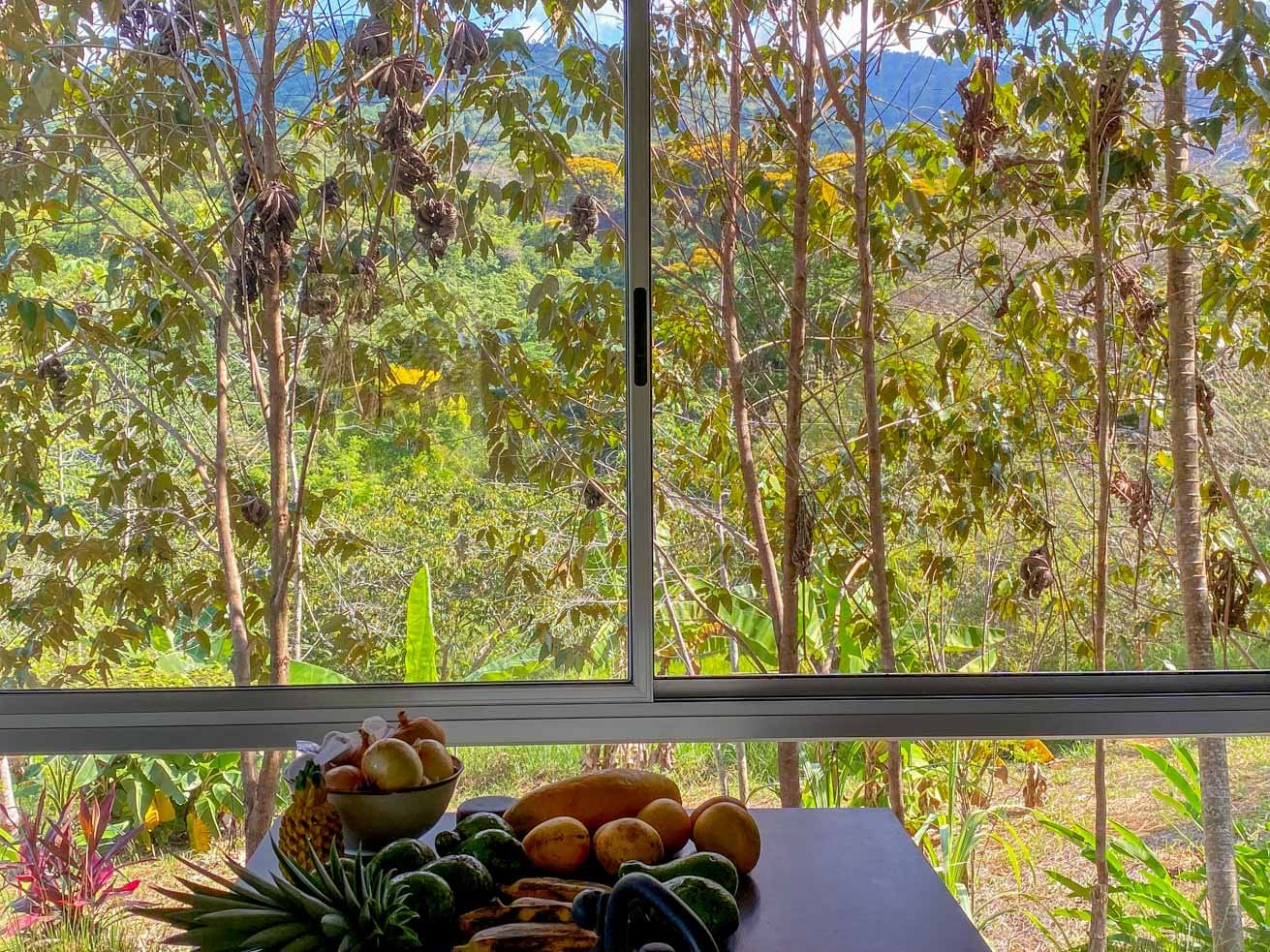 32-Acre Self-Sustainable Off-Grid Farm Near Ojochal with House, Solar Power & River