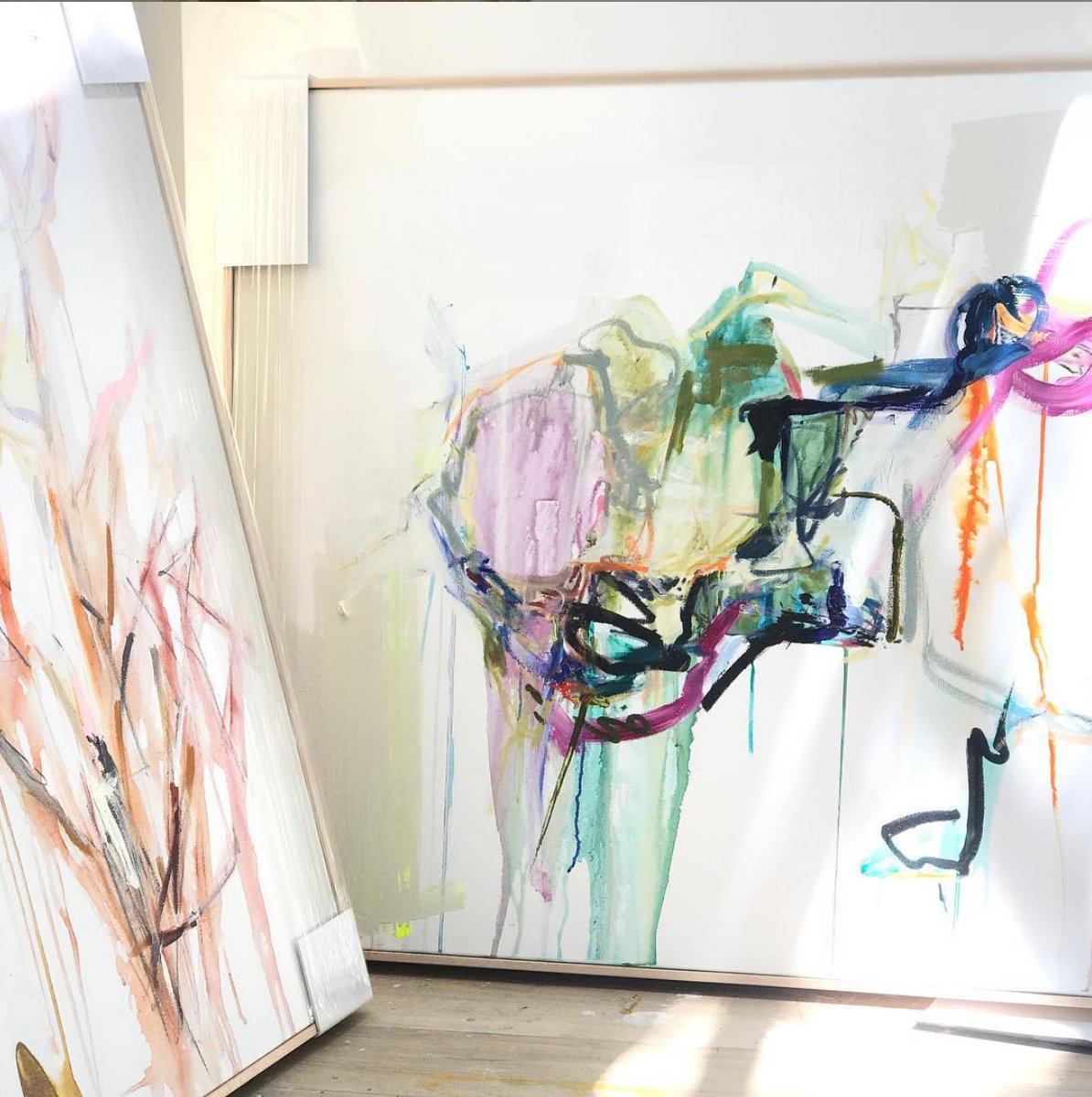 Guest houses with green lawn