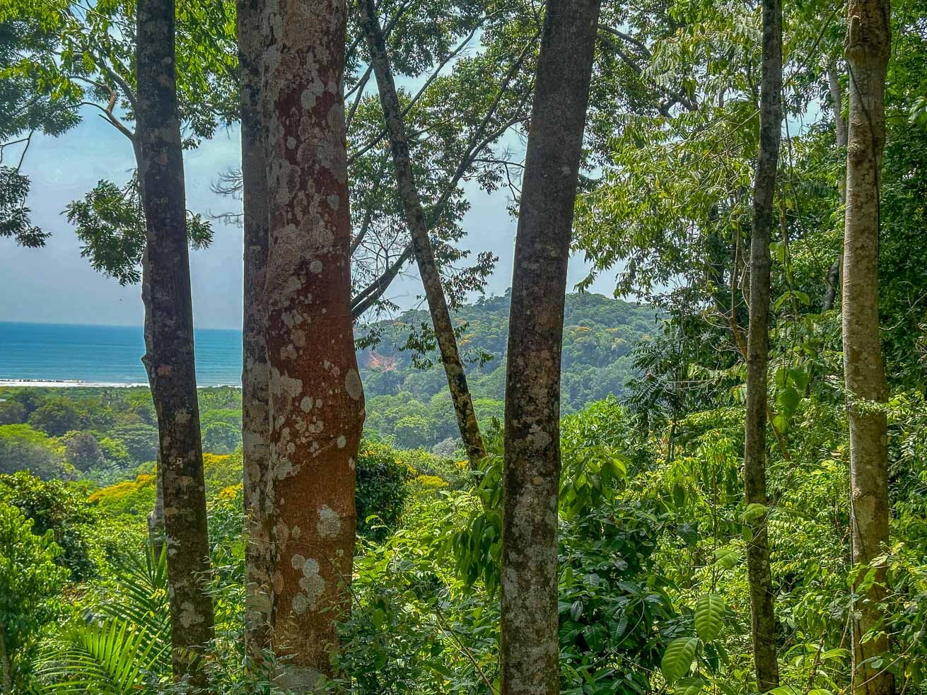 23-Acre Prime Highway Frontage Lot Near Ojochal & Ocean