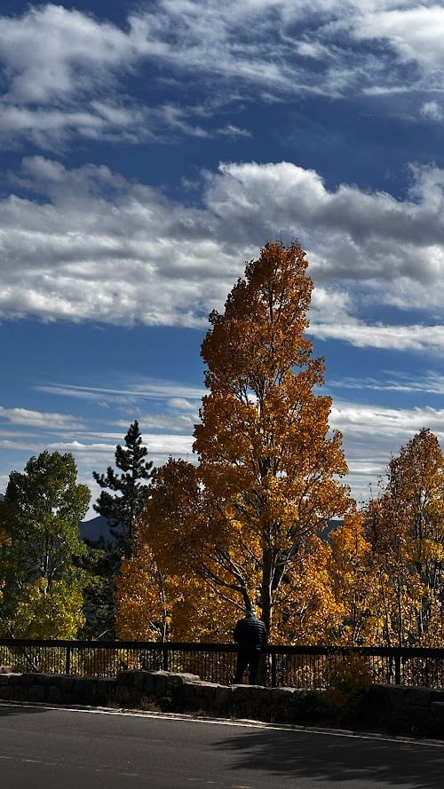 Where the Road Meets the Sky: Driving Trail Ridge Road