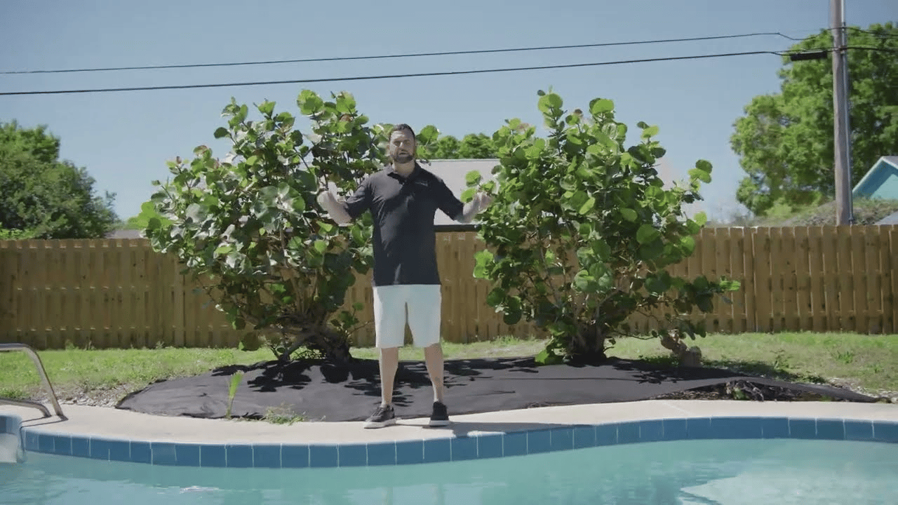 Melbourne Pool home 💧 with potential added rental income 💰