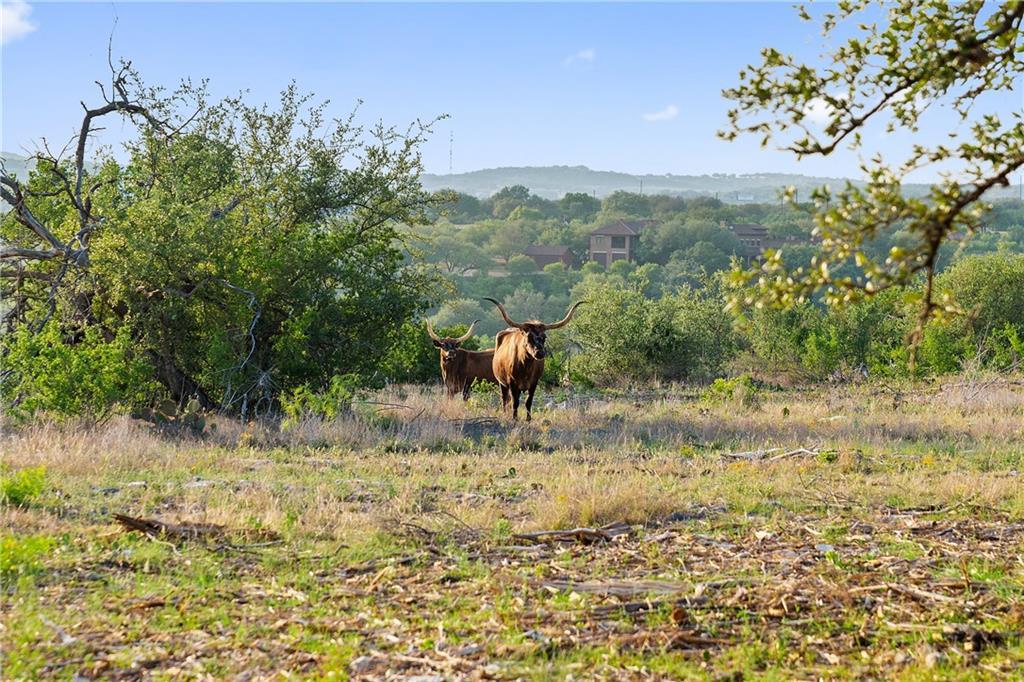 10 PEDERNALES CANYON TRL