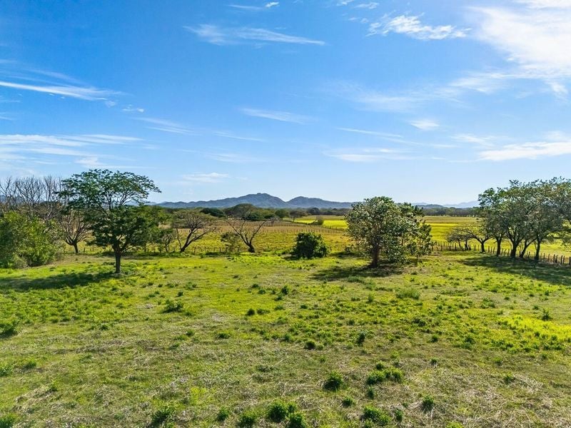 Portegolpe Lot | 2.84 Acres Property With Paved Road Frontage