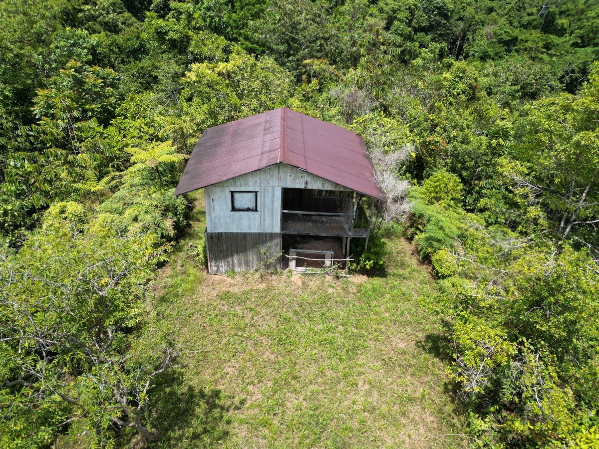 32 ACRES – Mountain Land With Spring, Jungle & Usable Space!!!!