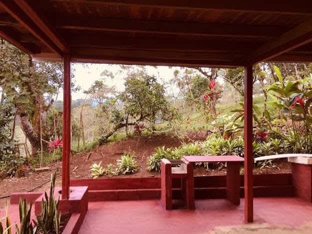 Buena Vista Land | Nature, Comfort, and Opportunity in One