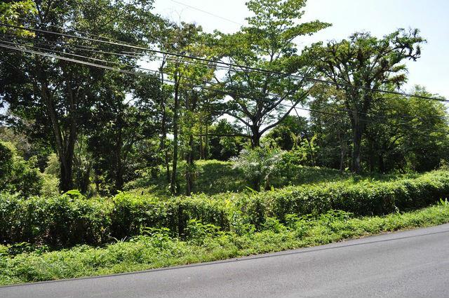 Prime Commercial Property, Fronting Main Road Too Manuel Antonio