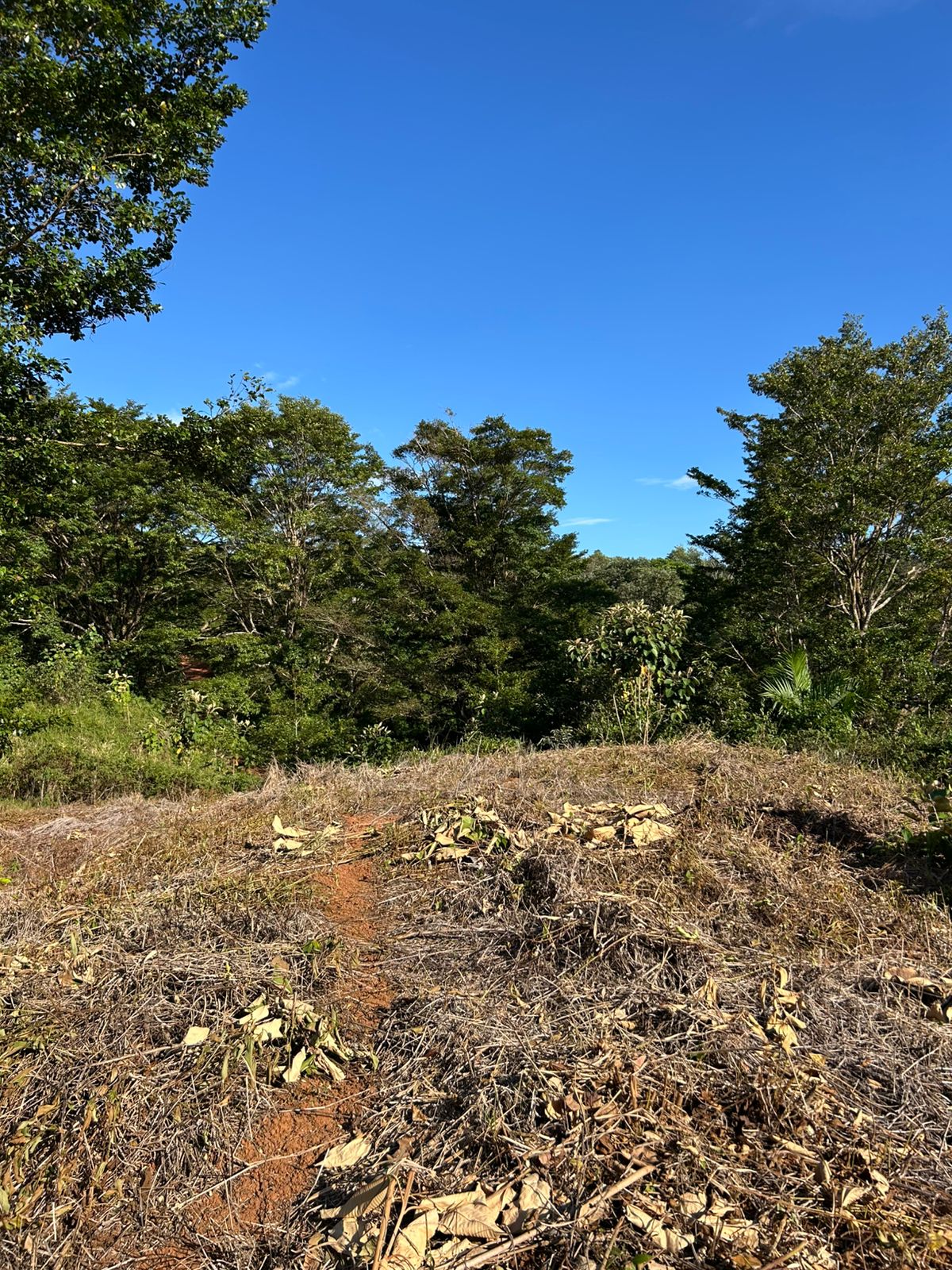67 acres development (15 titled lots) with breathtaking views in Sierpe