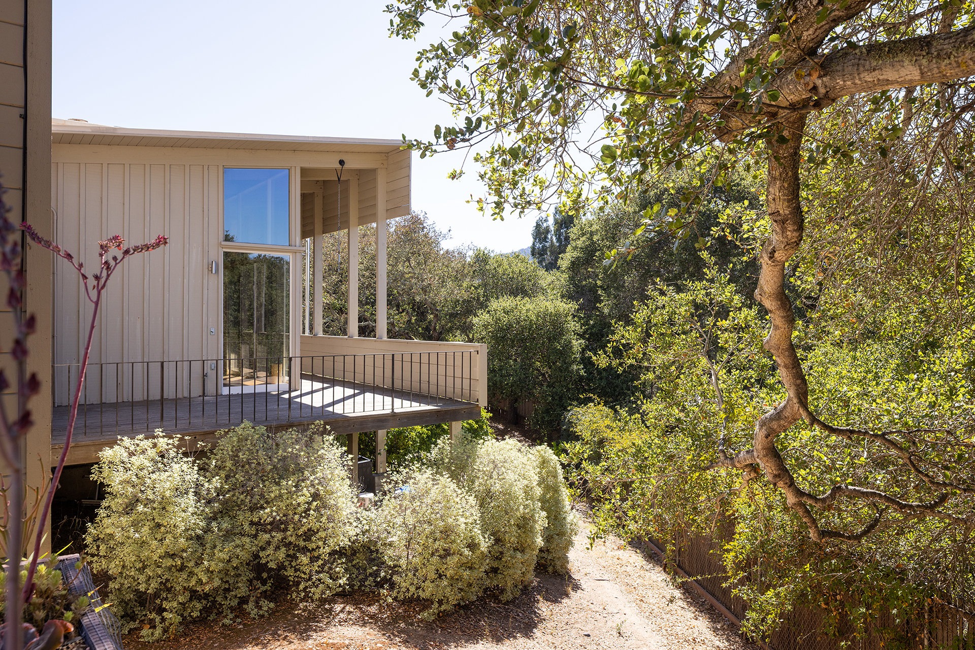 Carmel Valley Oasis