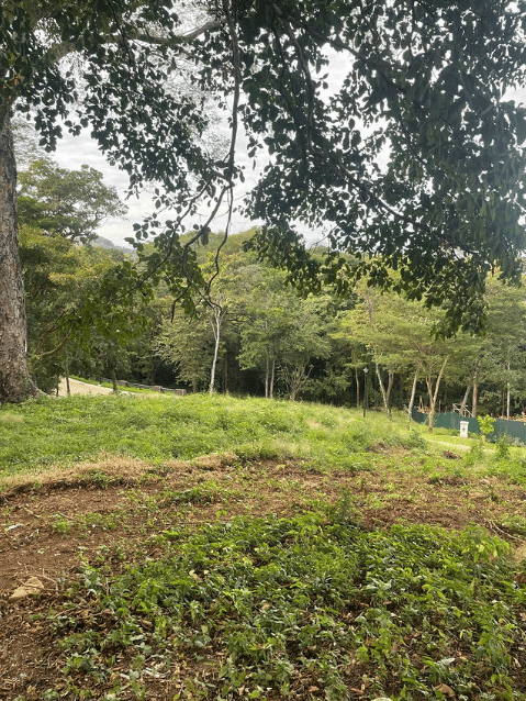 Sauco Lot #2 | A Rare Opportunity to Build Your Dream Home in Reserva Conchal!