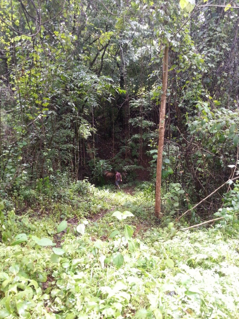 San Juanillo Farm | Large-Scale Ocean View Land with Investment Potential