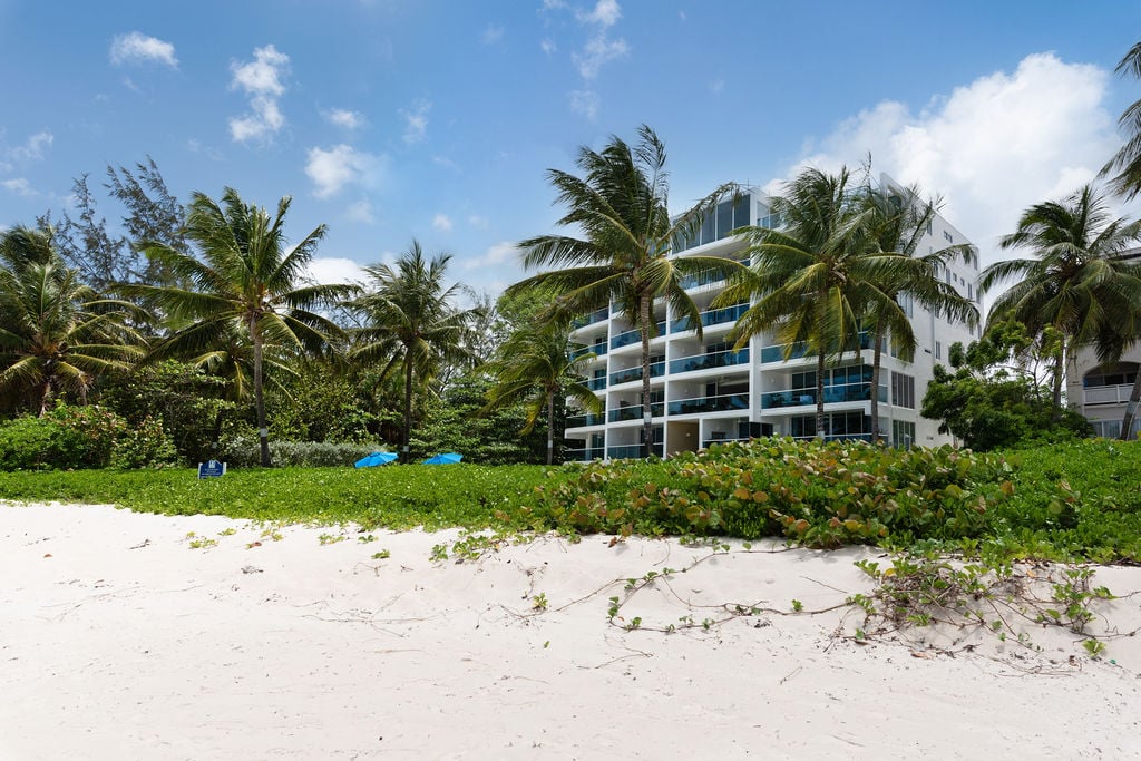 Ocean One 203