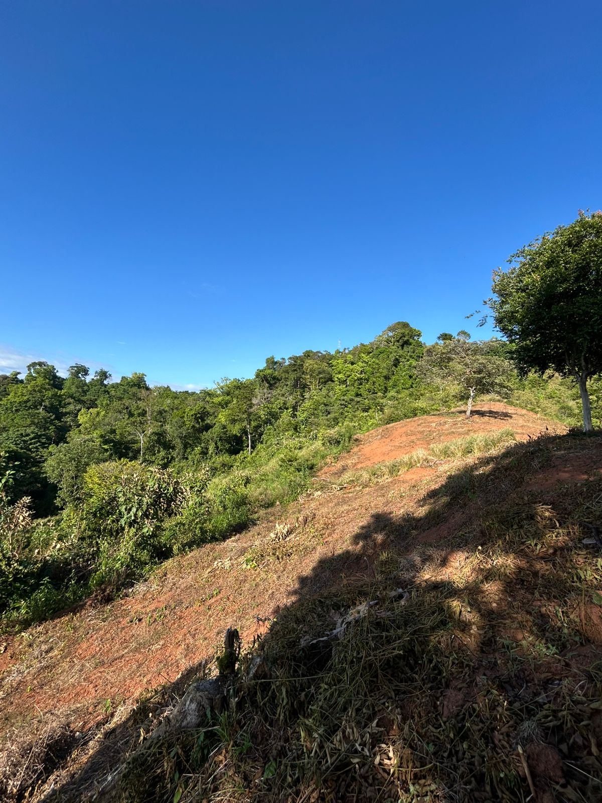 67 acres development (15 titled lots) with breathtaking views in Sierpe