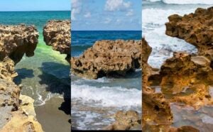 Perfect Beach Day in Jupiter, Florida: Wind-Smart Shelling Spots for Today (April 11, 2026)