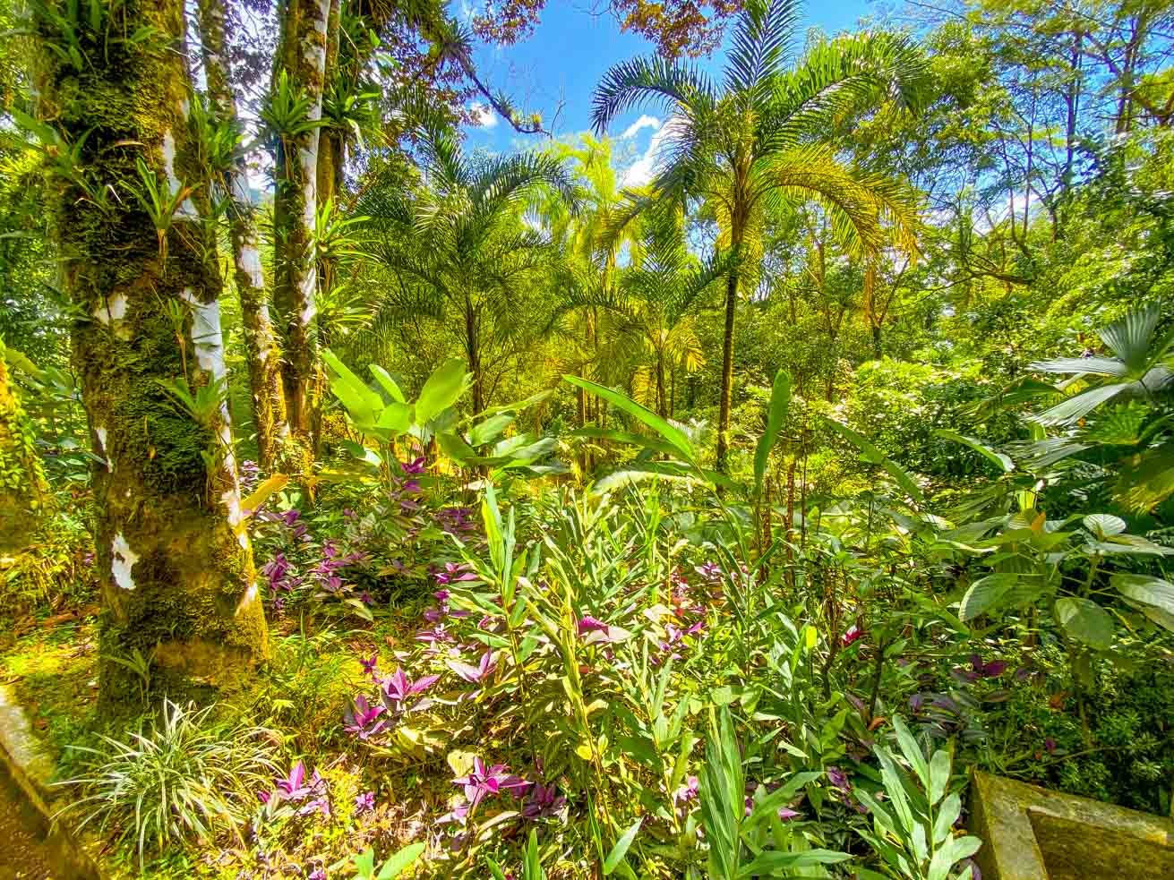 3 Bedroom Rainforest Home in Ojochal With River & Waterfall | 3.5 Acres Private