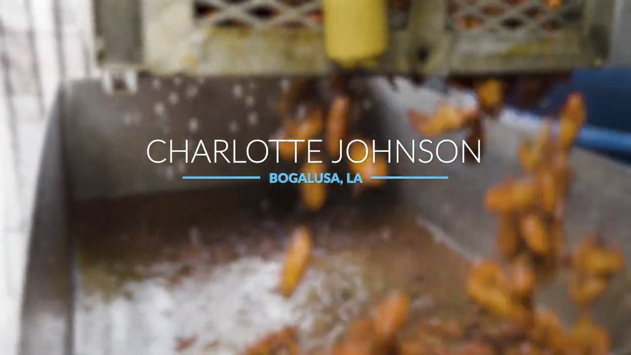 When Life Gives You Lemons, Boil Crawfish!
