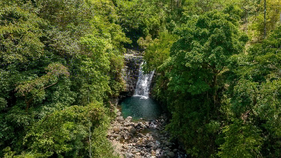 Whale Tail Views Luxury Waterfall Farm