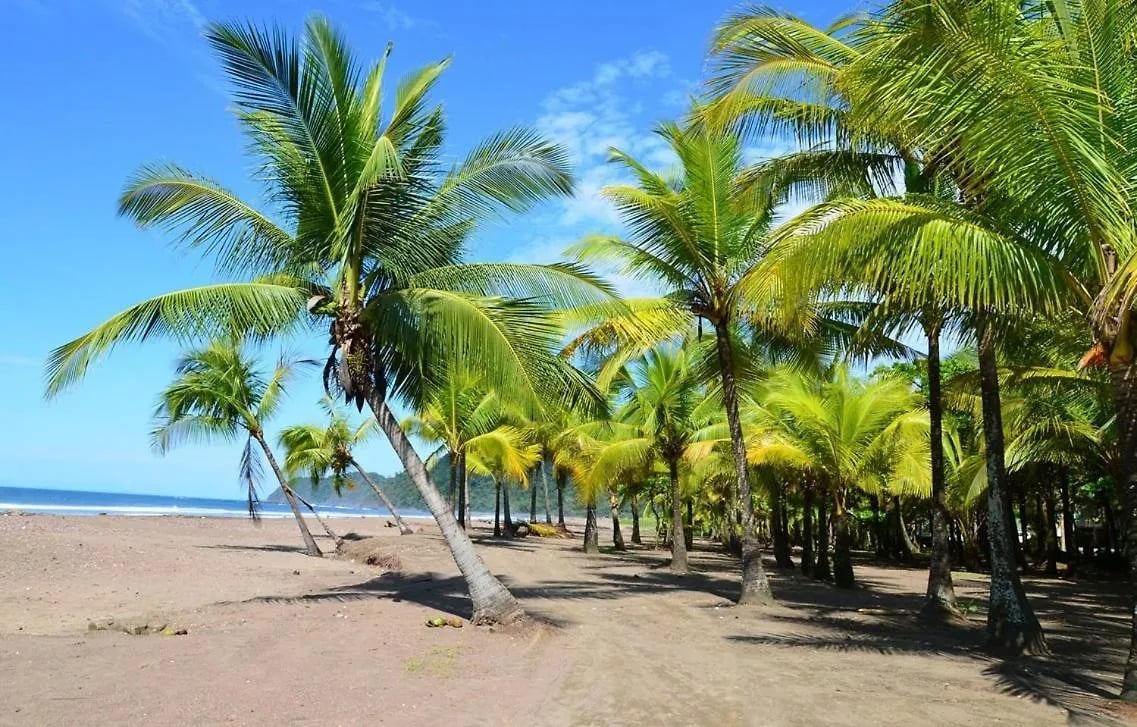 Jacó Beach