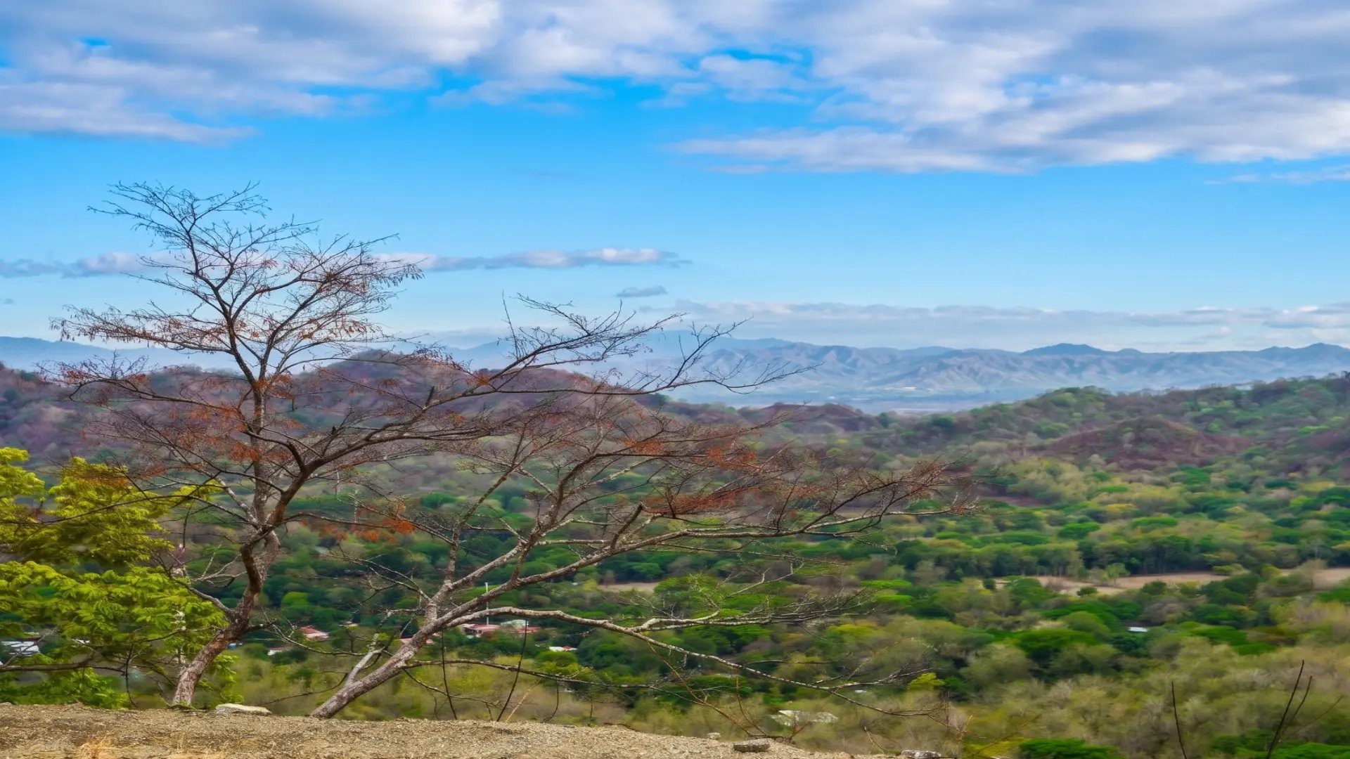 Las Melinas Sanctuary