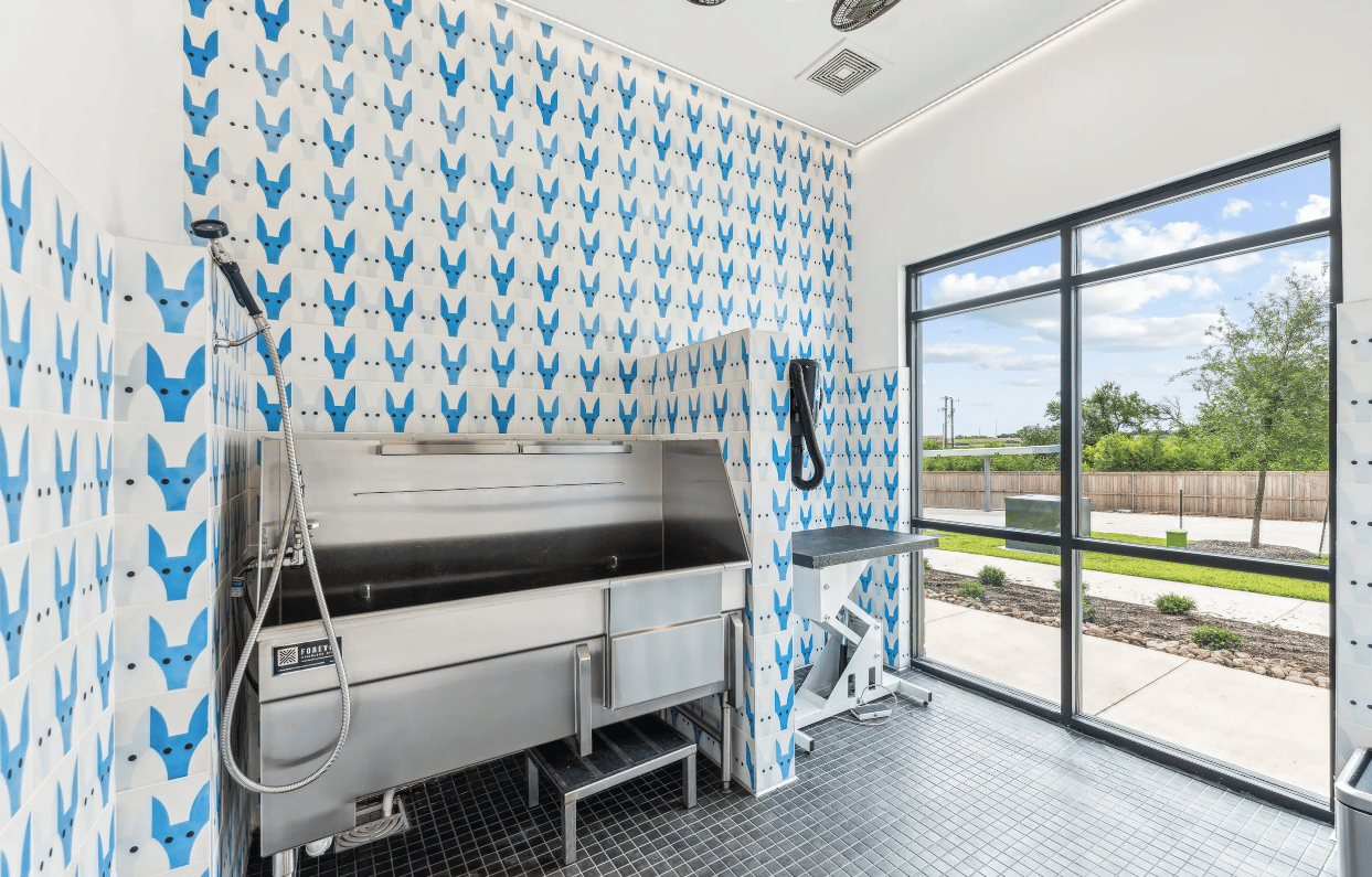 Limited Time Only! Receive 12 Weeks Free!