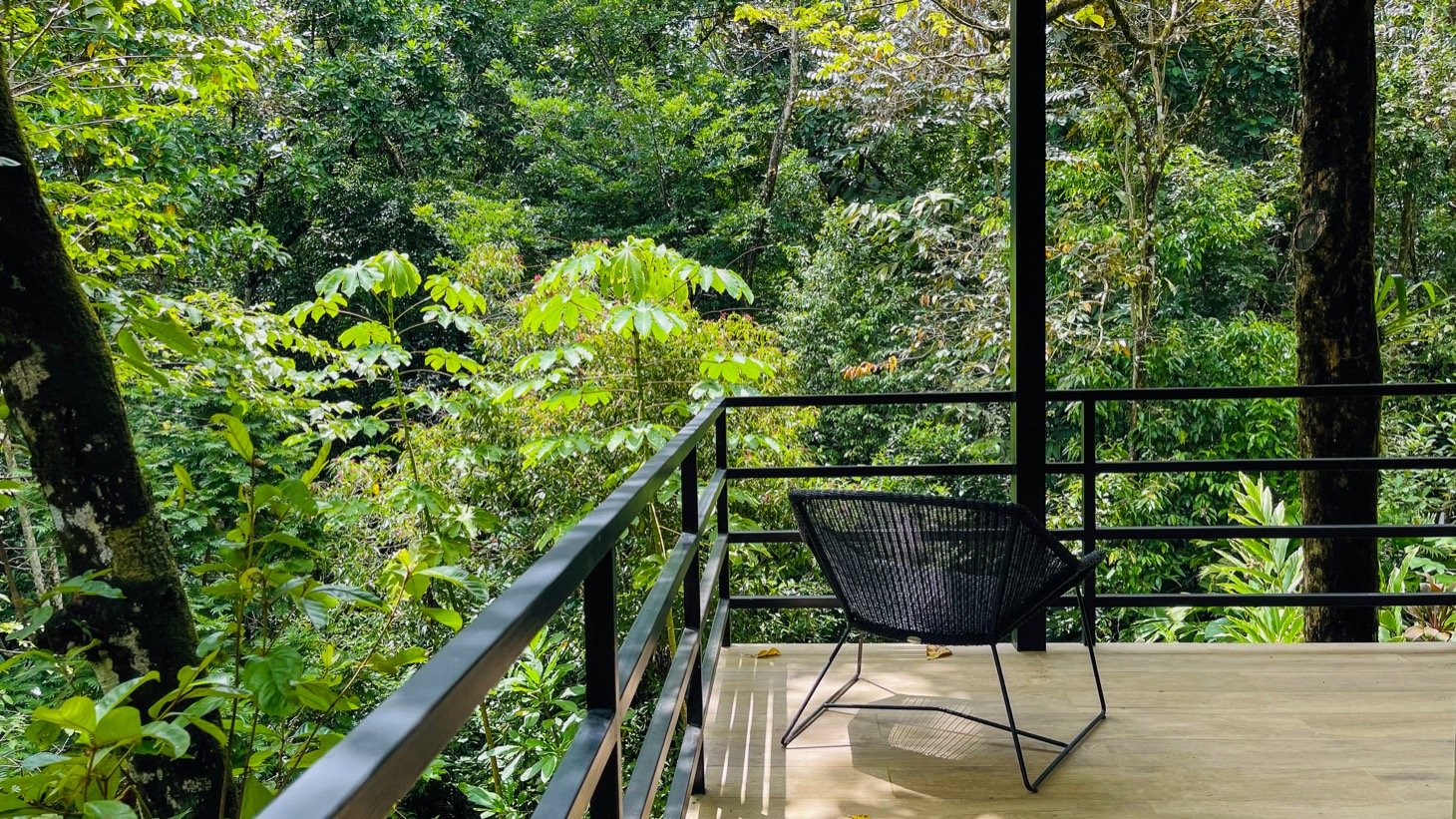 Modern House For Sale With Jungle View, Peaceful Stream, and Rental Cabins