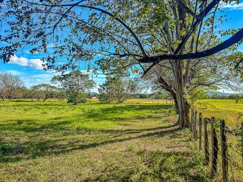 Portegolpe Lot | 2.84 Acres Property With Paved Road Frontage