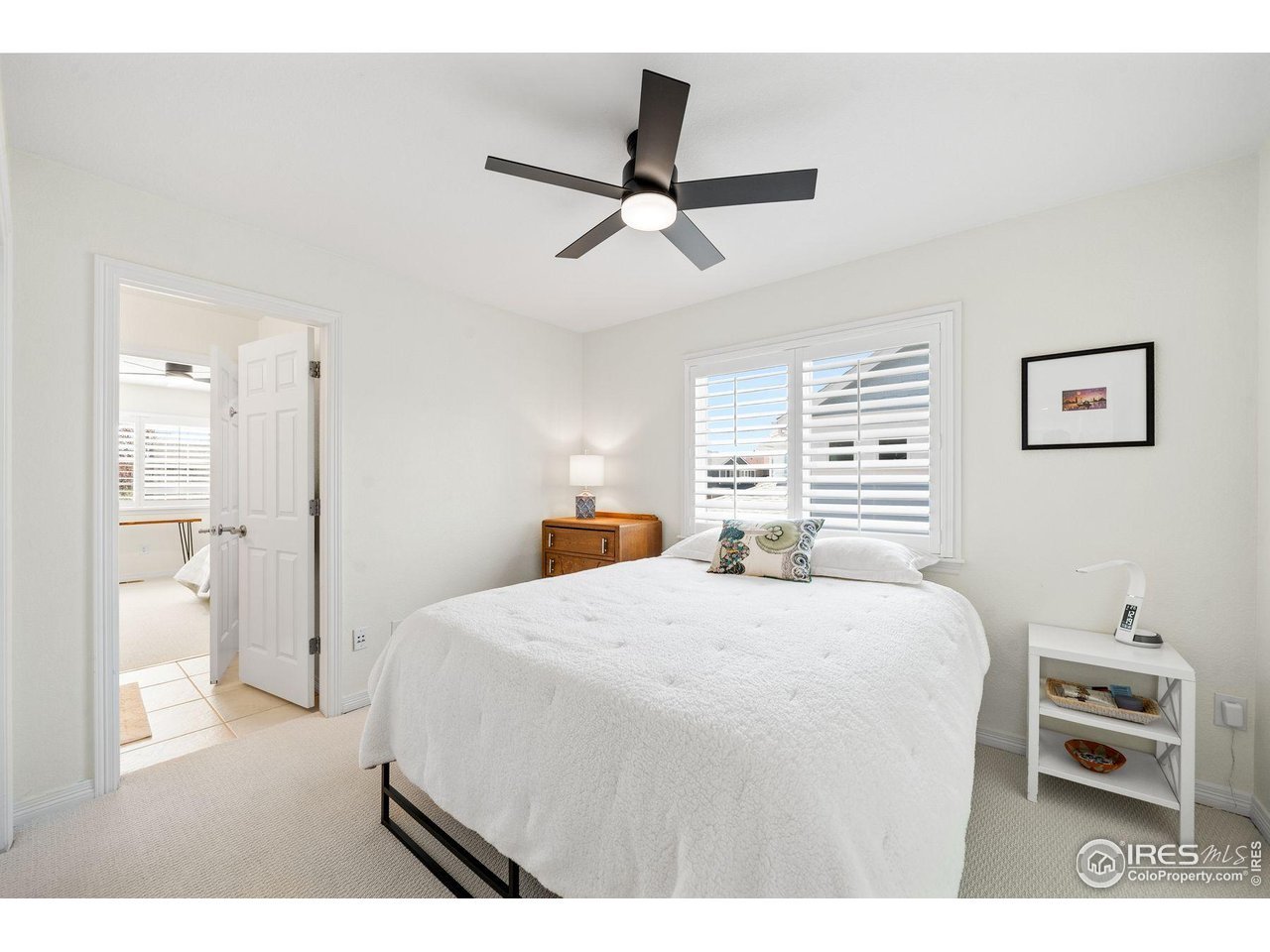 1427 Cannon Mountain Dr