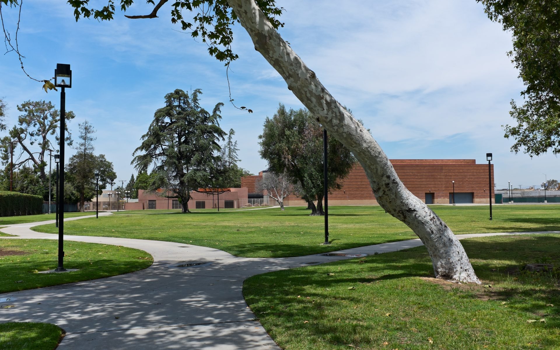 Lawn and curving pathway at Norwalk Park