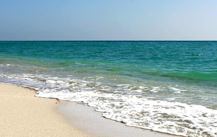 Dunes At Sanibel Island