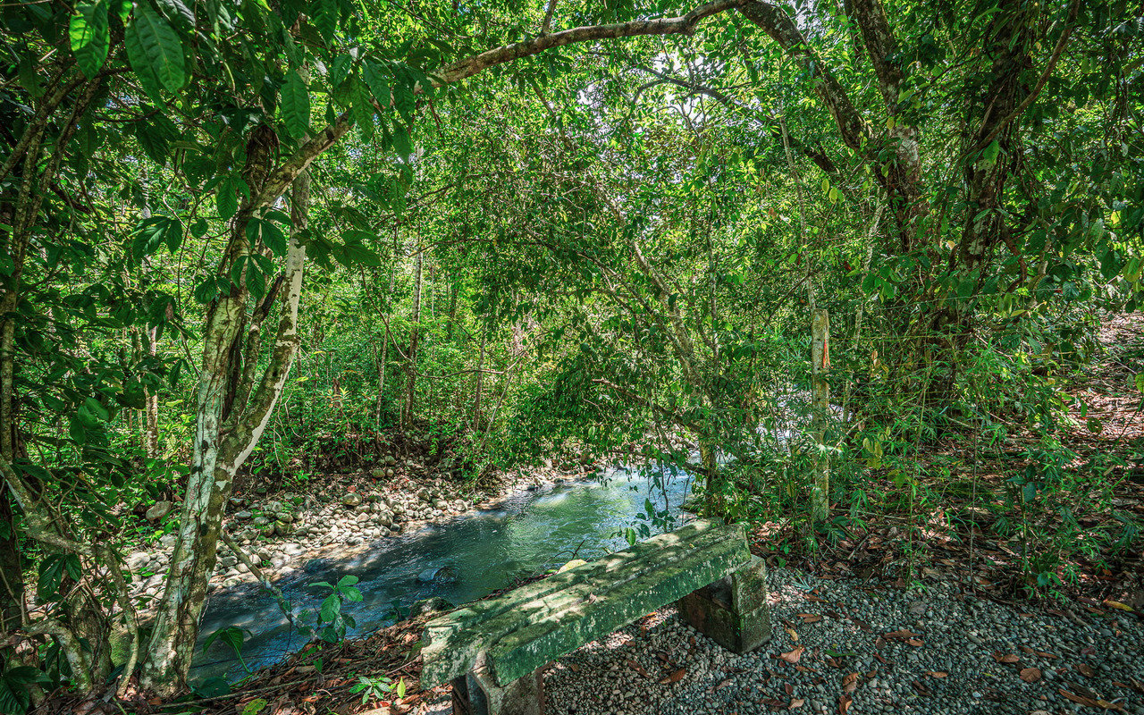 Unique Riverfront Home With Prime Location in Uvita