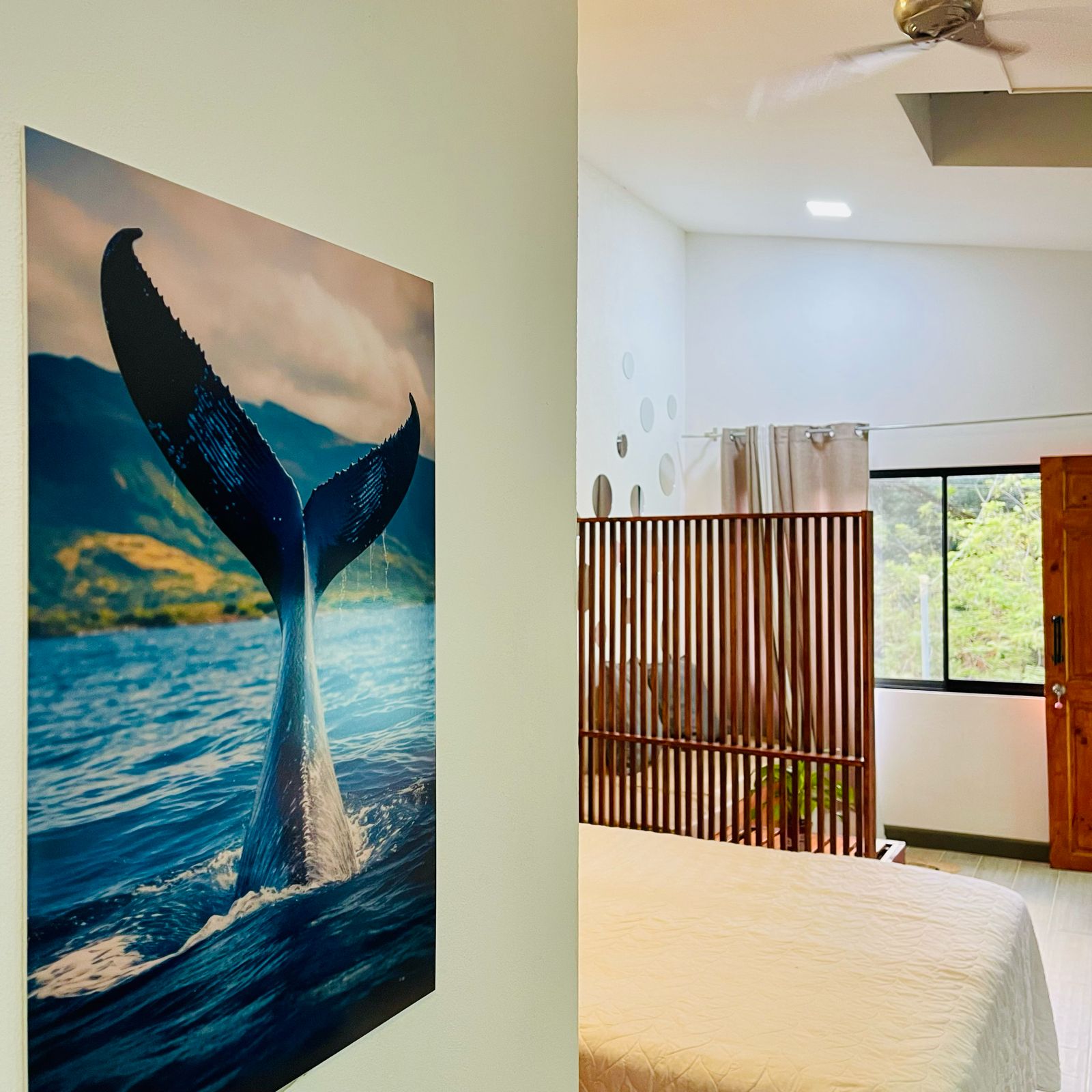 Jaco Rental Income Property