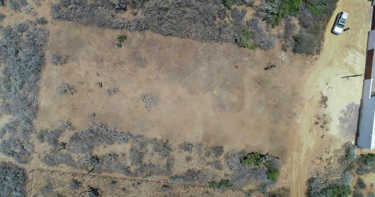 Heart of Cerritos Lot