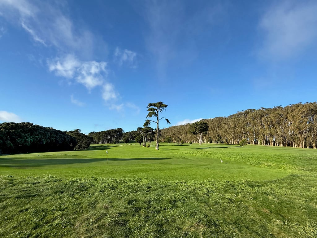 District 7 – North