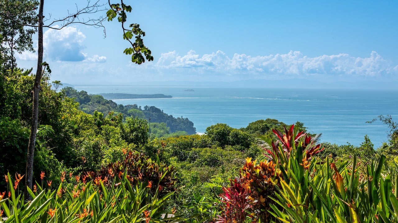 Whale’s Tail Ocean View Estate with Extra Lot in Uvita