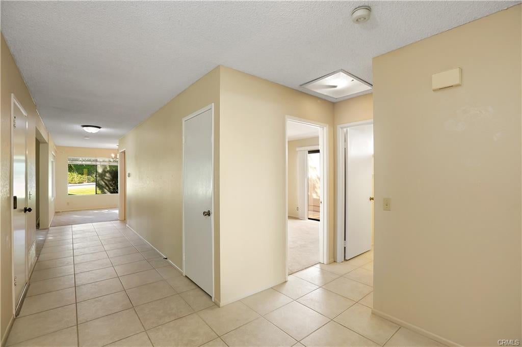 28385 Pacheco
